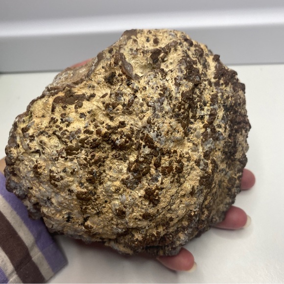 2LB14oz natural Crystal Agate Geode Quartz Crystal Healing with little squirrel - Picture 6 of 10